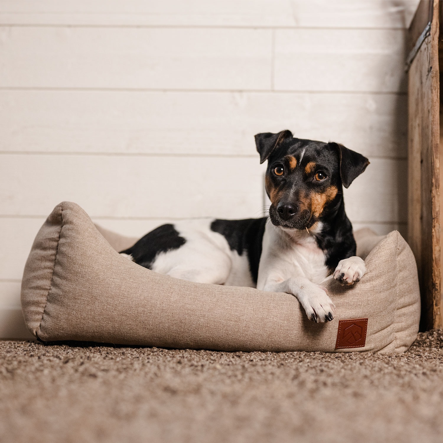 Hundeseng Ezana traxx®