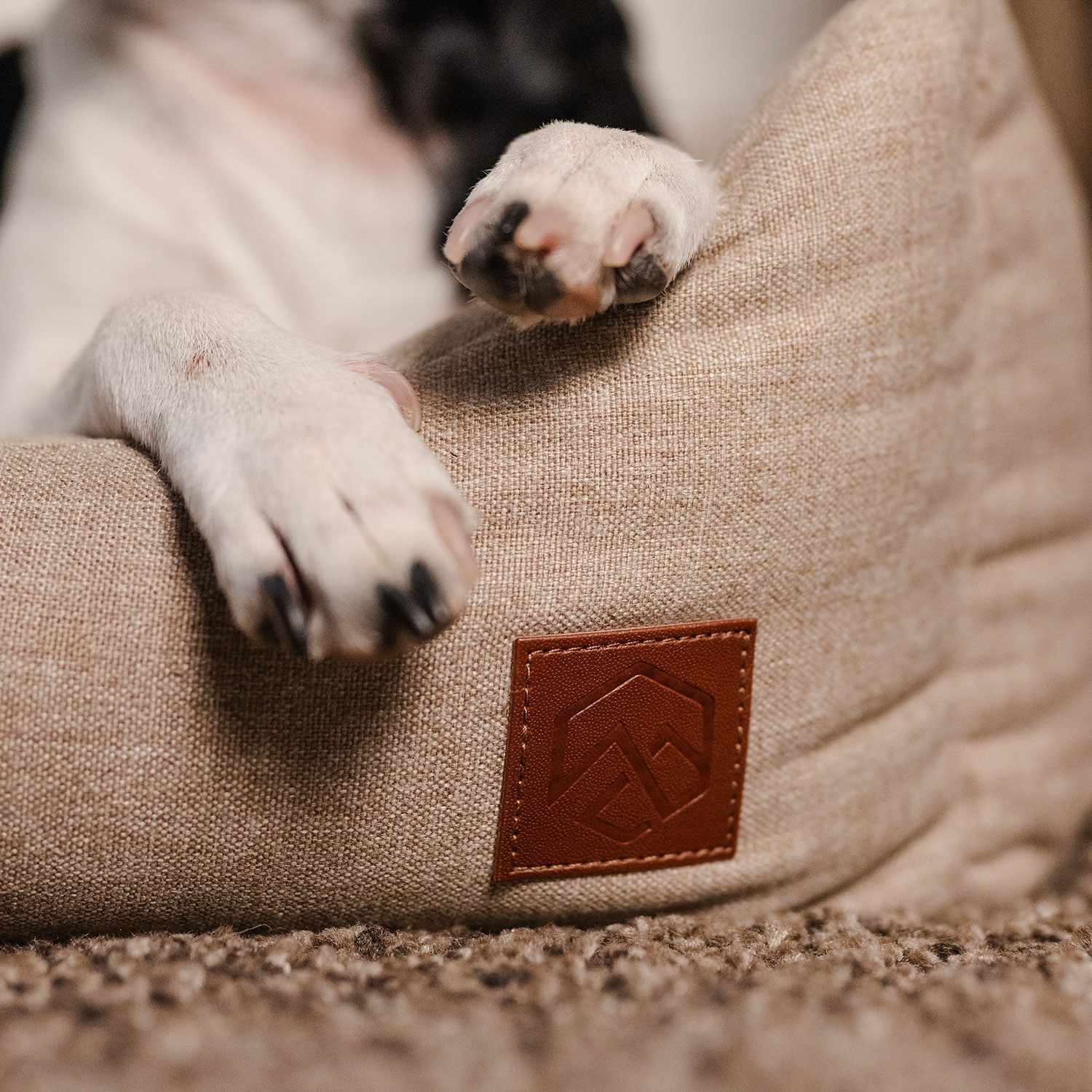 Hundeseng Ezana traxx®