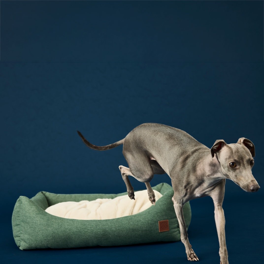 Hundeseng Ezana traxx®