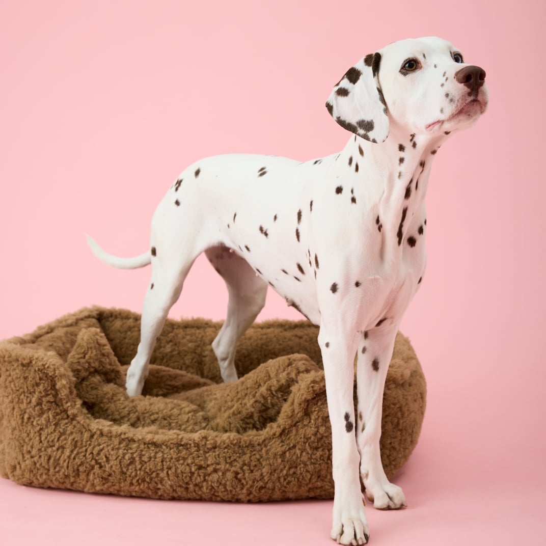 Hundeseng Furix traxx®