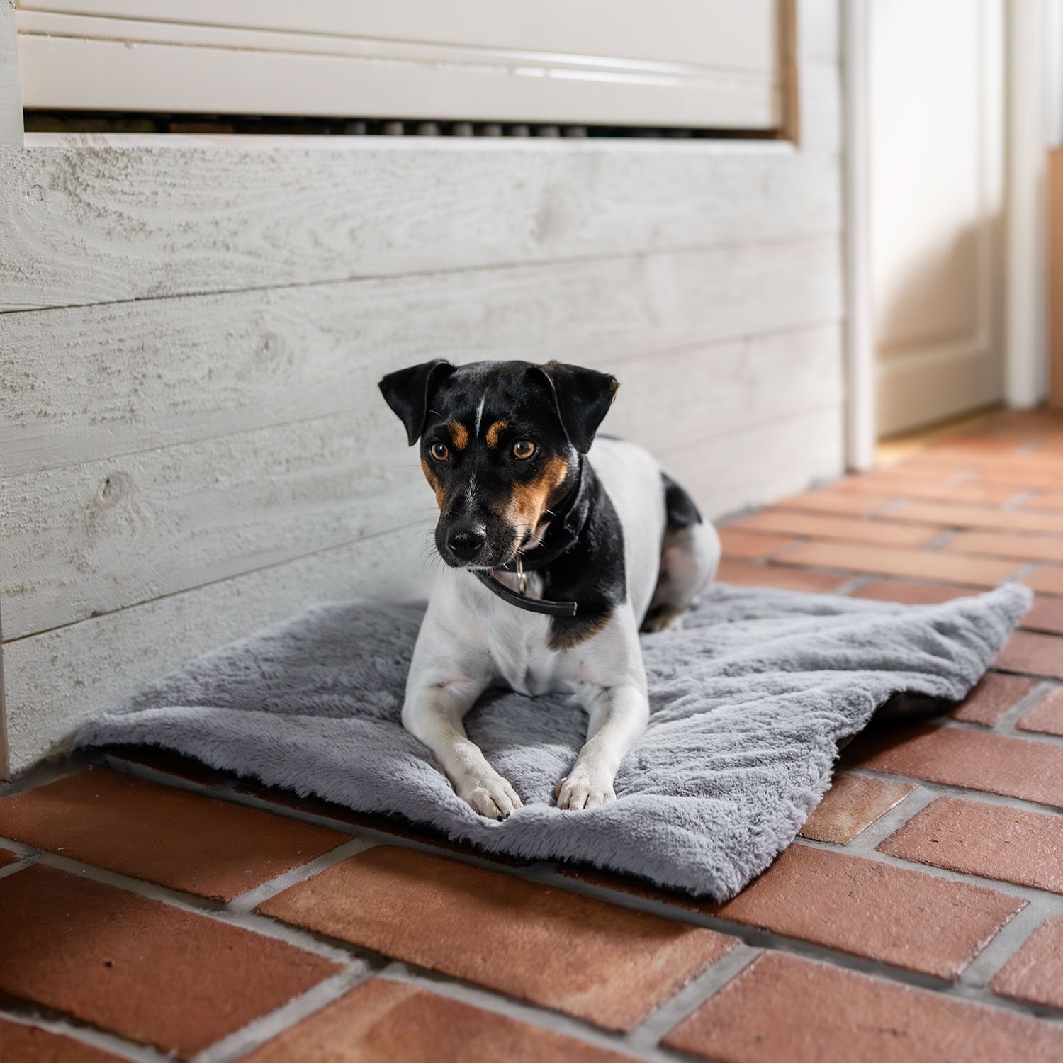 Hundemadrass  Self-Warming traxx®