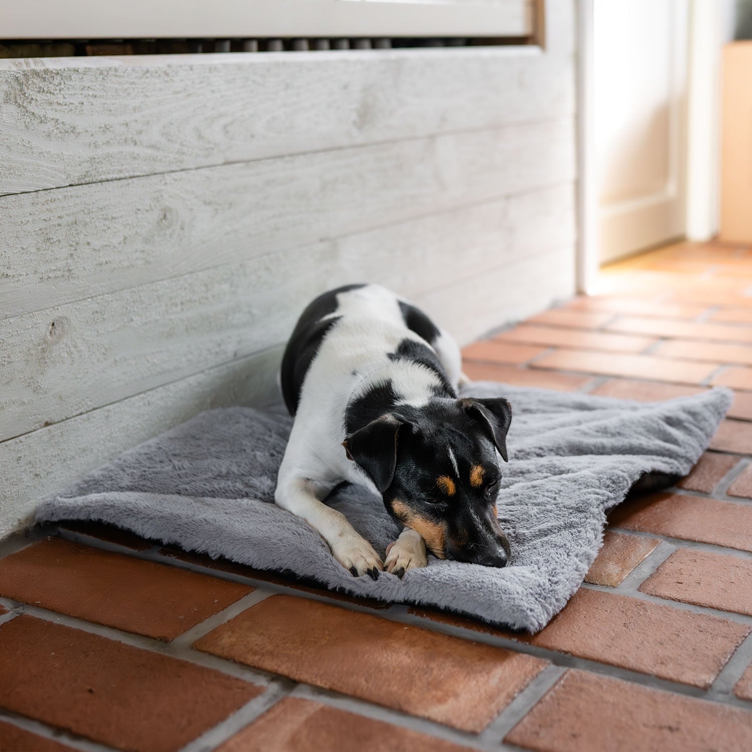 Hundemadrass  Self-Warming traxx®