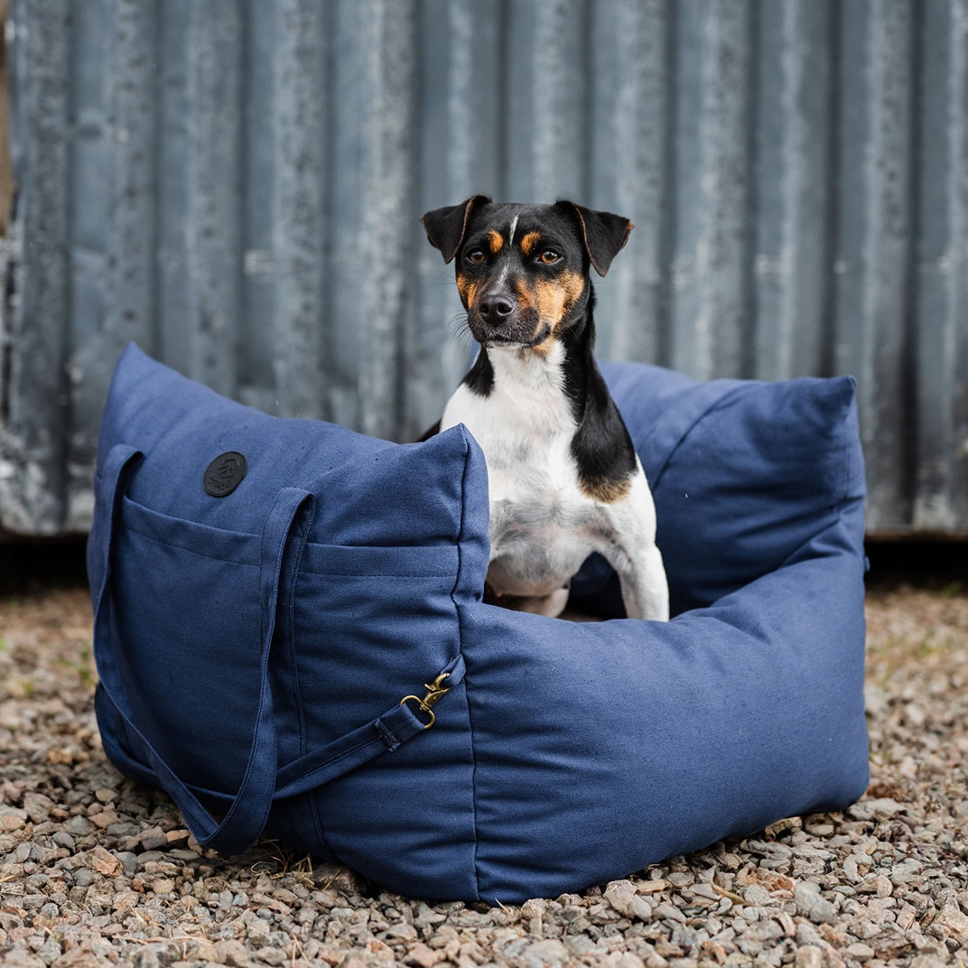 Hundeseng Bed Bag Dog traxx®
