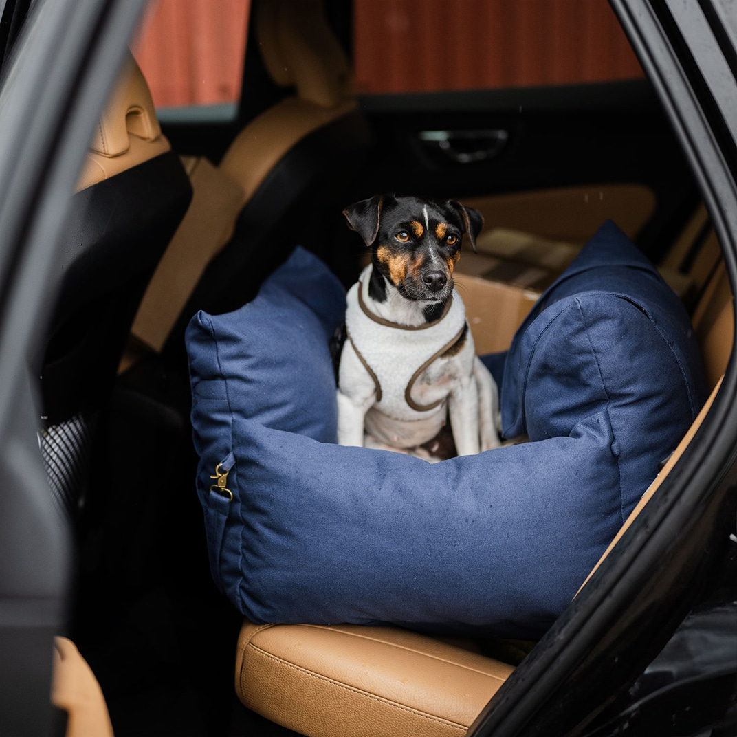 Hundeseng Bed Bag Dog traxx®