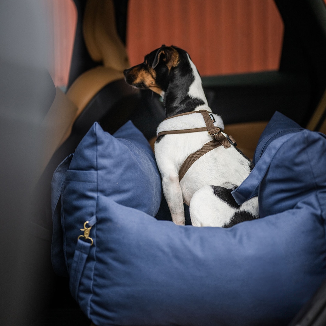 Hundeseng Bed Bag Dog traxx®
