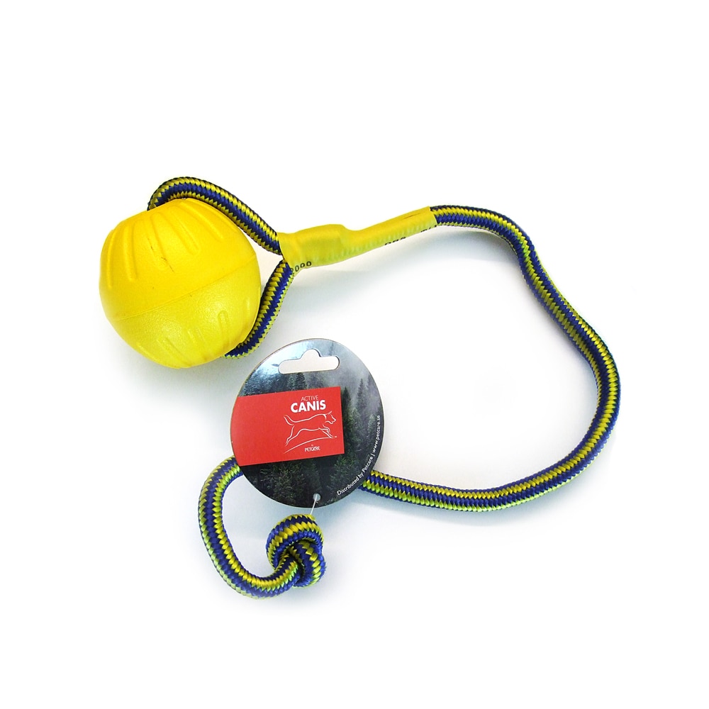 Hundeleke  Floating boll Active Canis