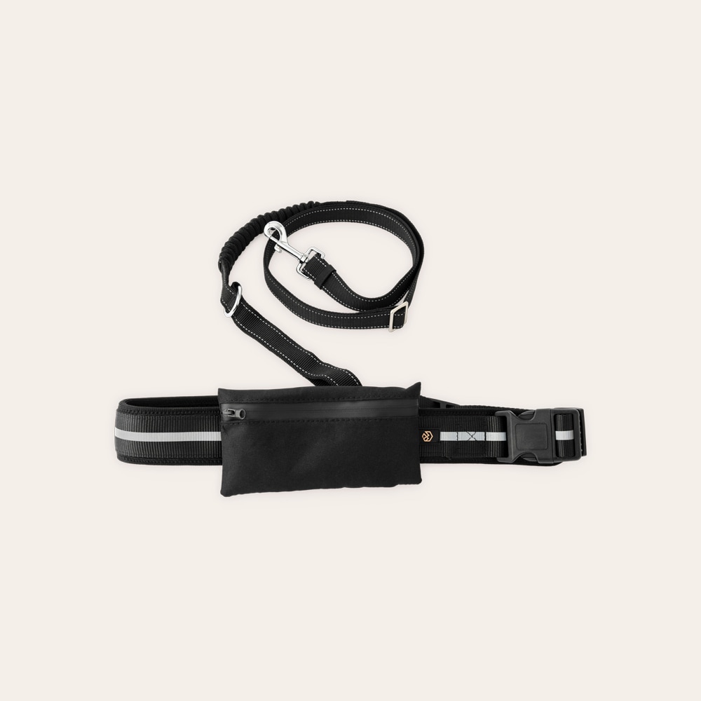 Belte til kobbel Rapid Running traxx®