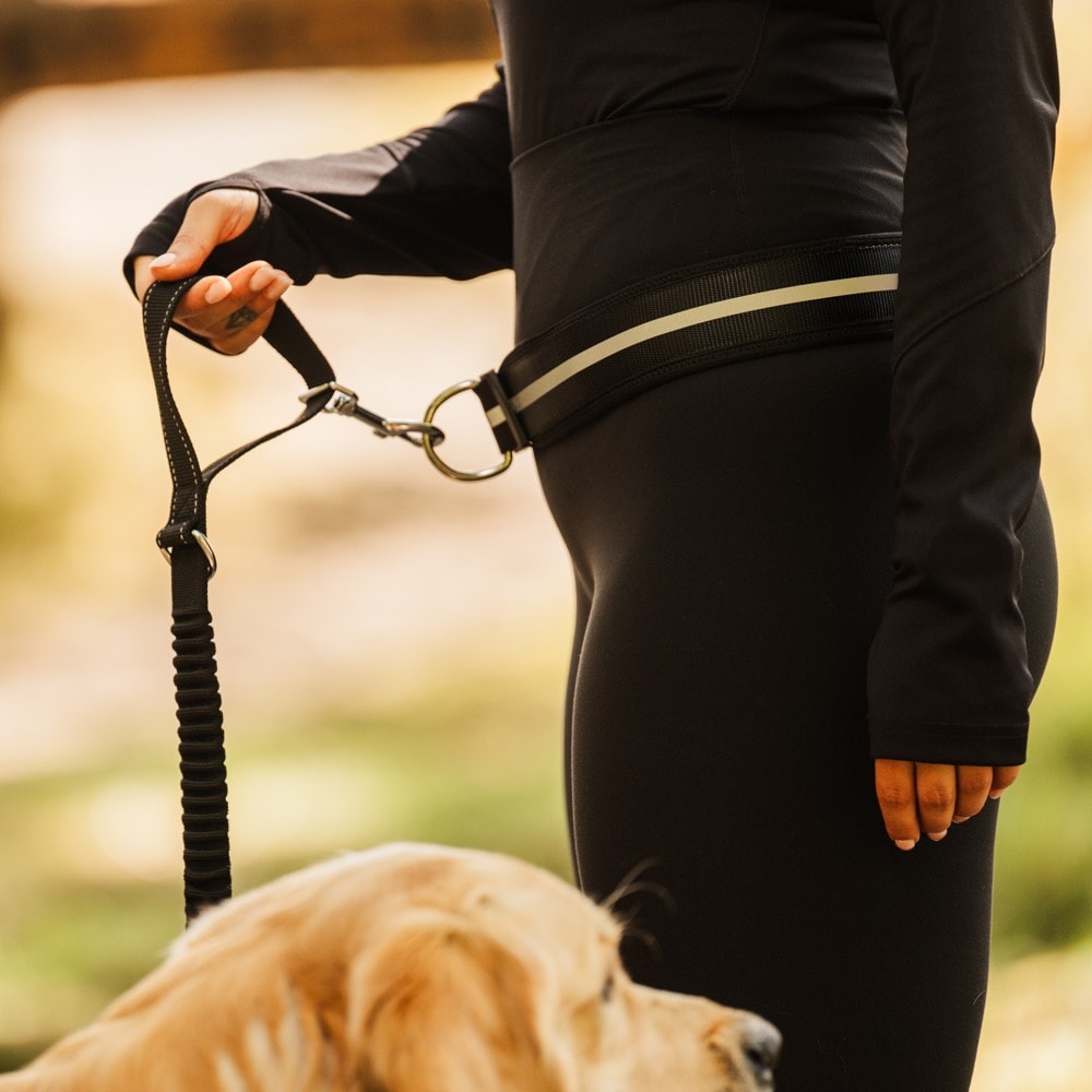 Belte til kobbel Rapid Running traxx®