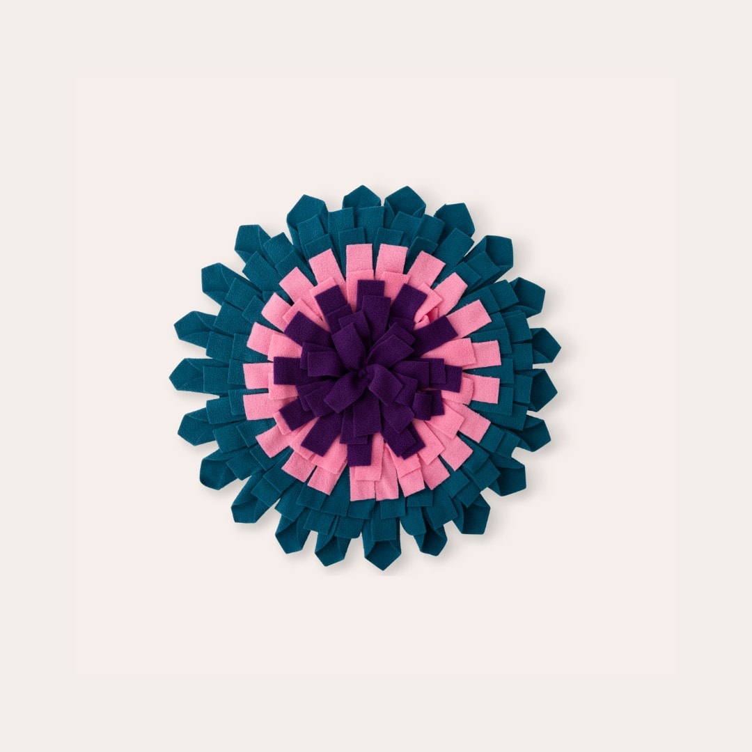 Teppe Hund Flower Seeking traxx®