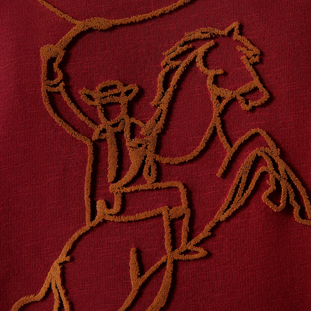 Collegegenser  Lasso ARIAT®