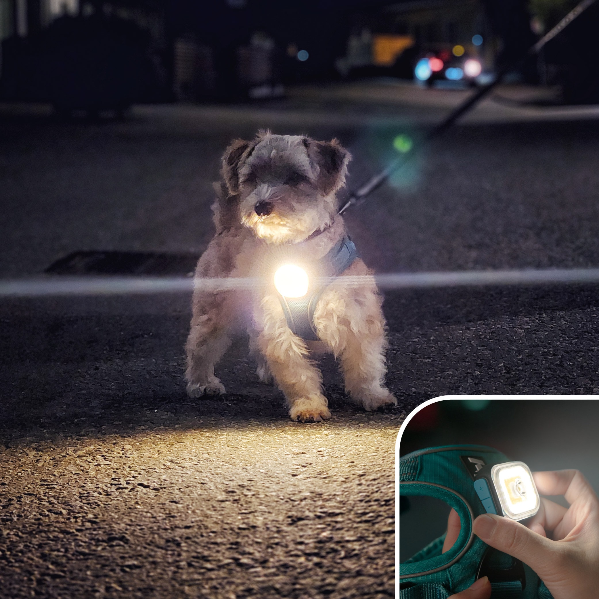 LED-lampe  Light 01 Meolinq