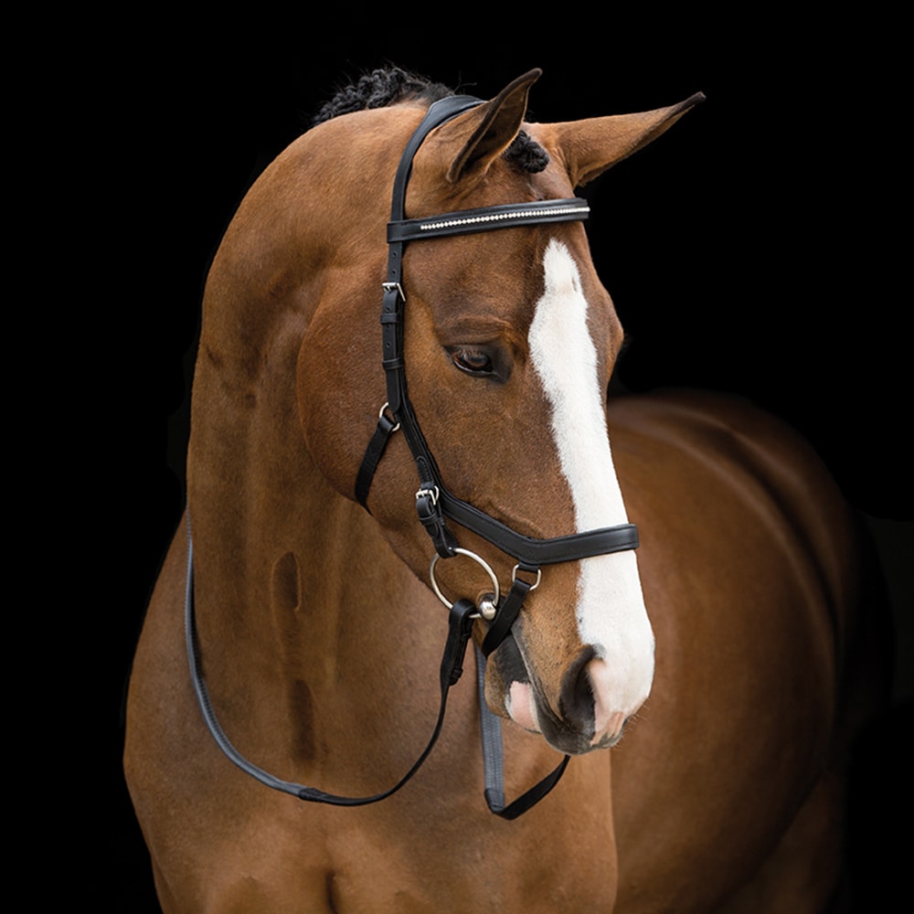 Hodelag  Micklem® Diamante Competition Horseware®