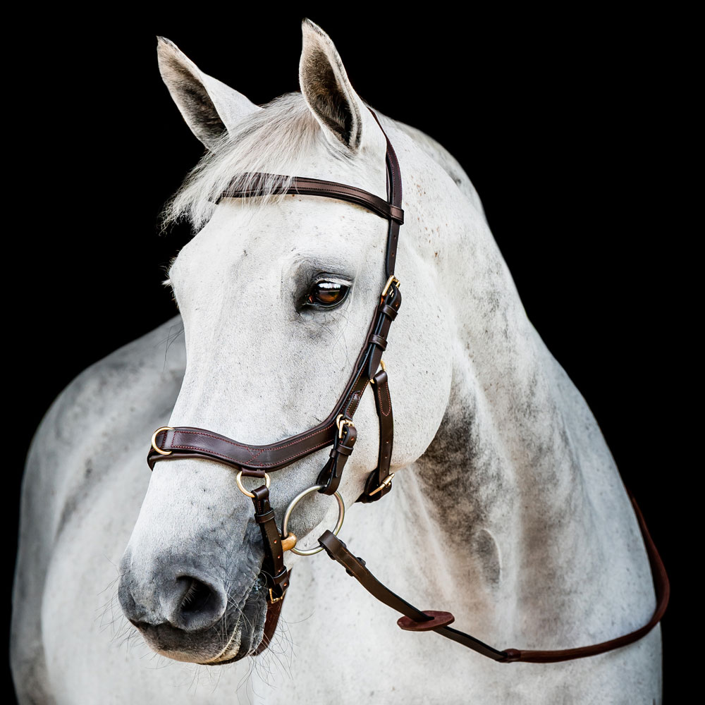 Hodelag  Micklem Multibridle Horseware®