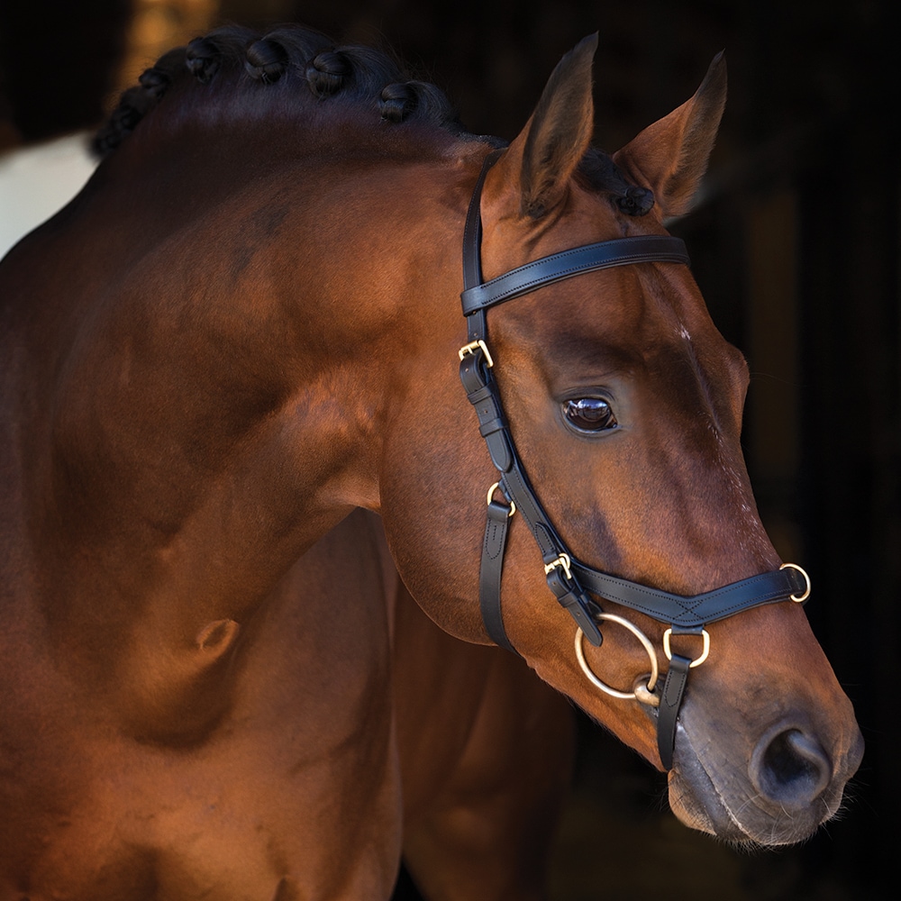 Hodelag  Micklem Multibridle Horseware®