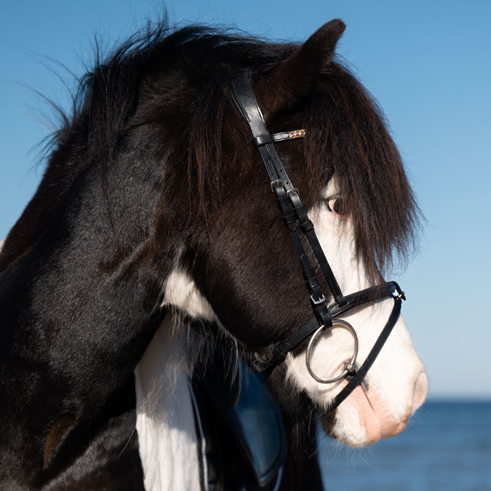 Islandshodelag  Hafnir Fairfield®