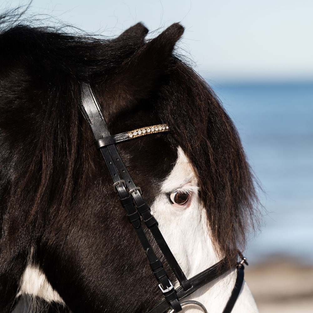 Islandshodelag  Hafnir Fairfield®