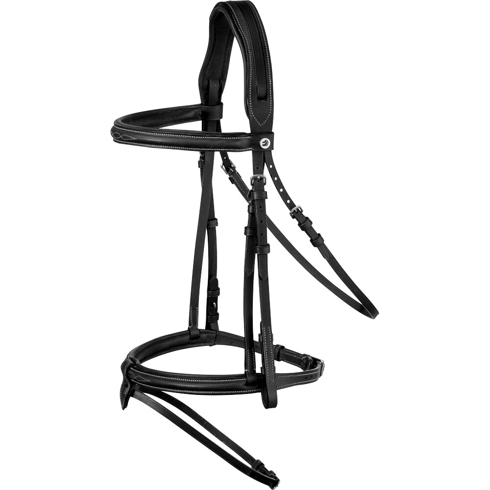 Aachenhodelag  Winford Fairfield®