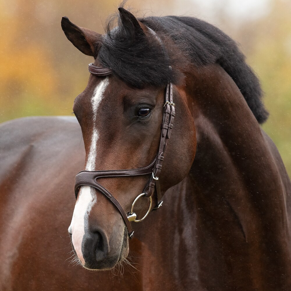 Krysshodelag  Standon Fairfield®
