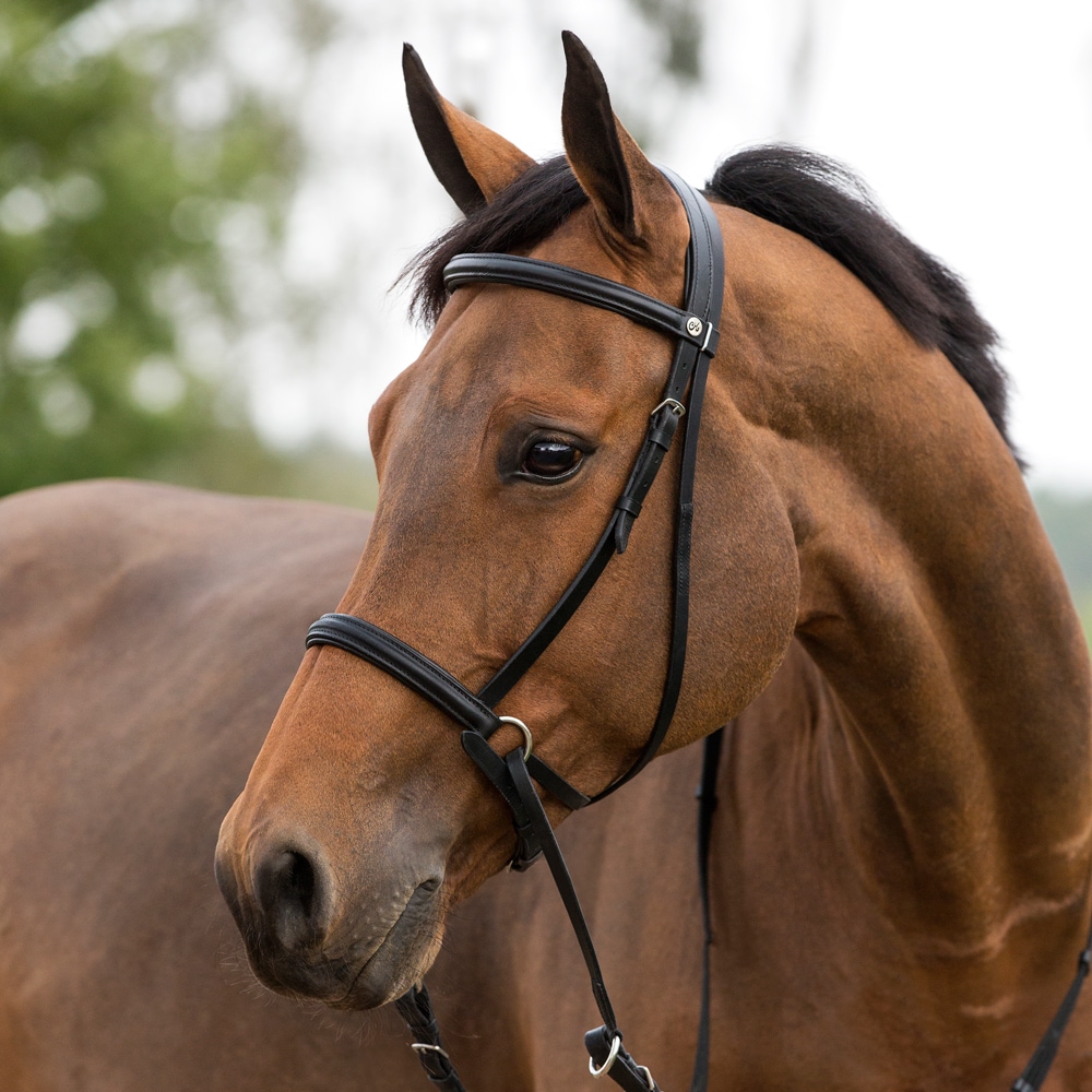 Bittløst Hodelag Fairfield®