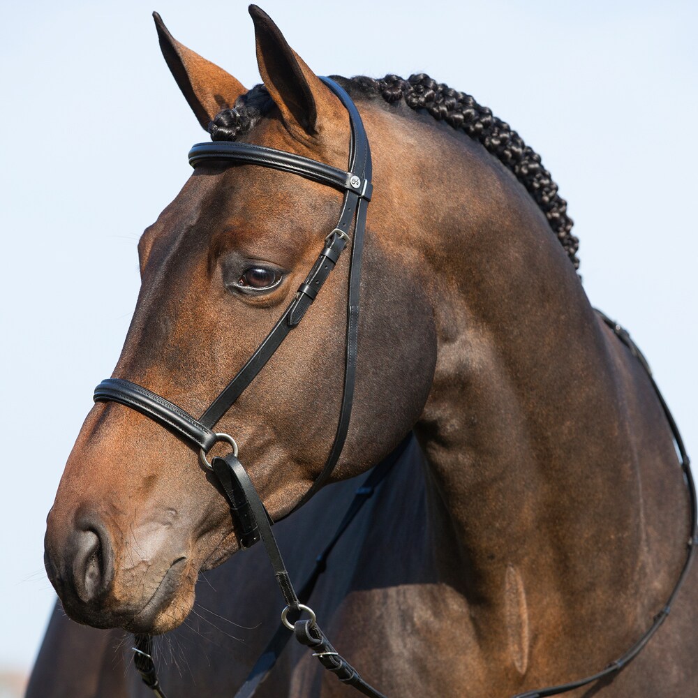 Bittløst Hodelag Fairfield®