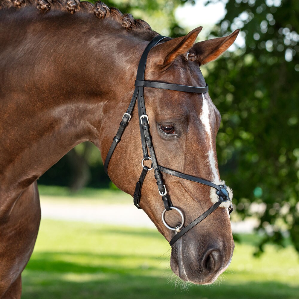 Krysshodelag  Tilbury Fairfield®