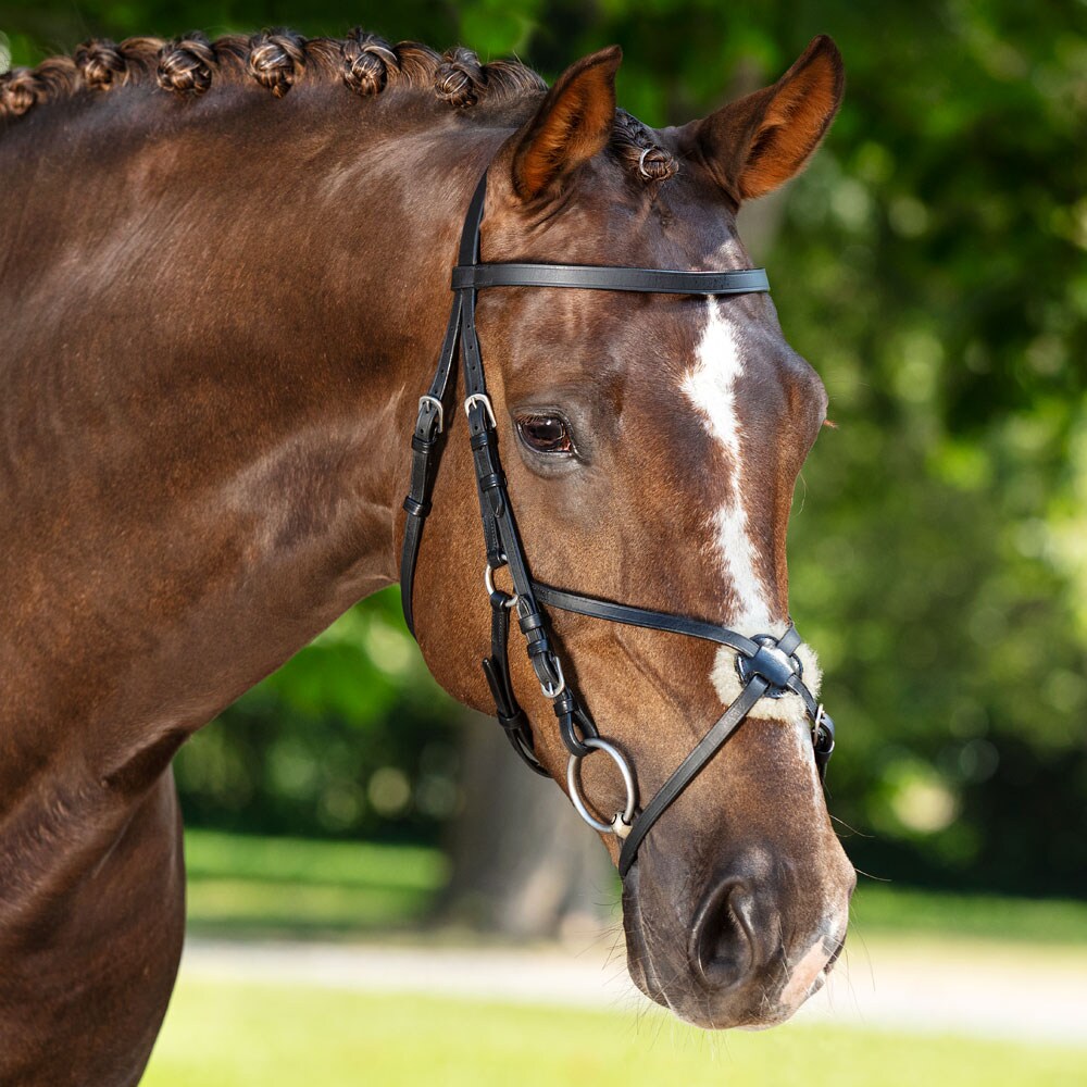 Krysshodelag  Tilbury Fairfield®