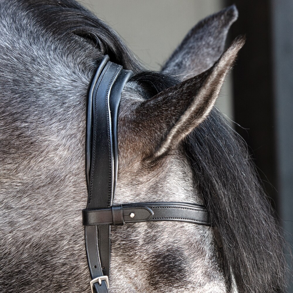 Krysshodelag Necton Fairfield®