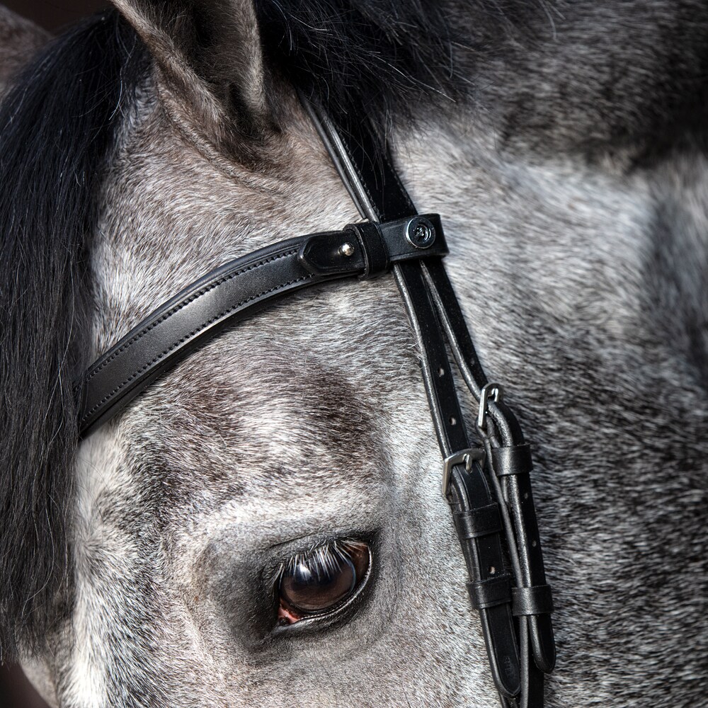 Krysshodelag Necton Fairfield®