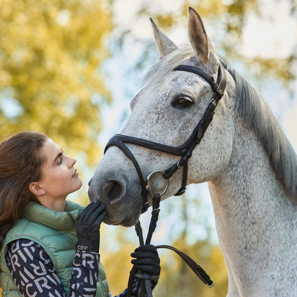 Krysshodelag Necton Fairfield®