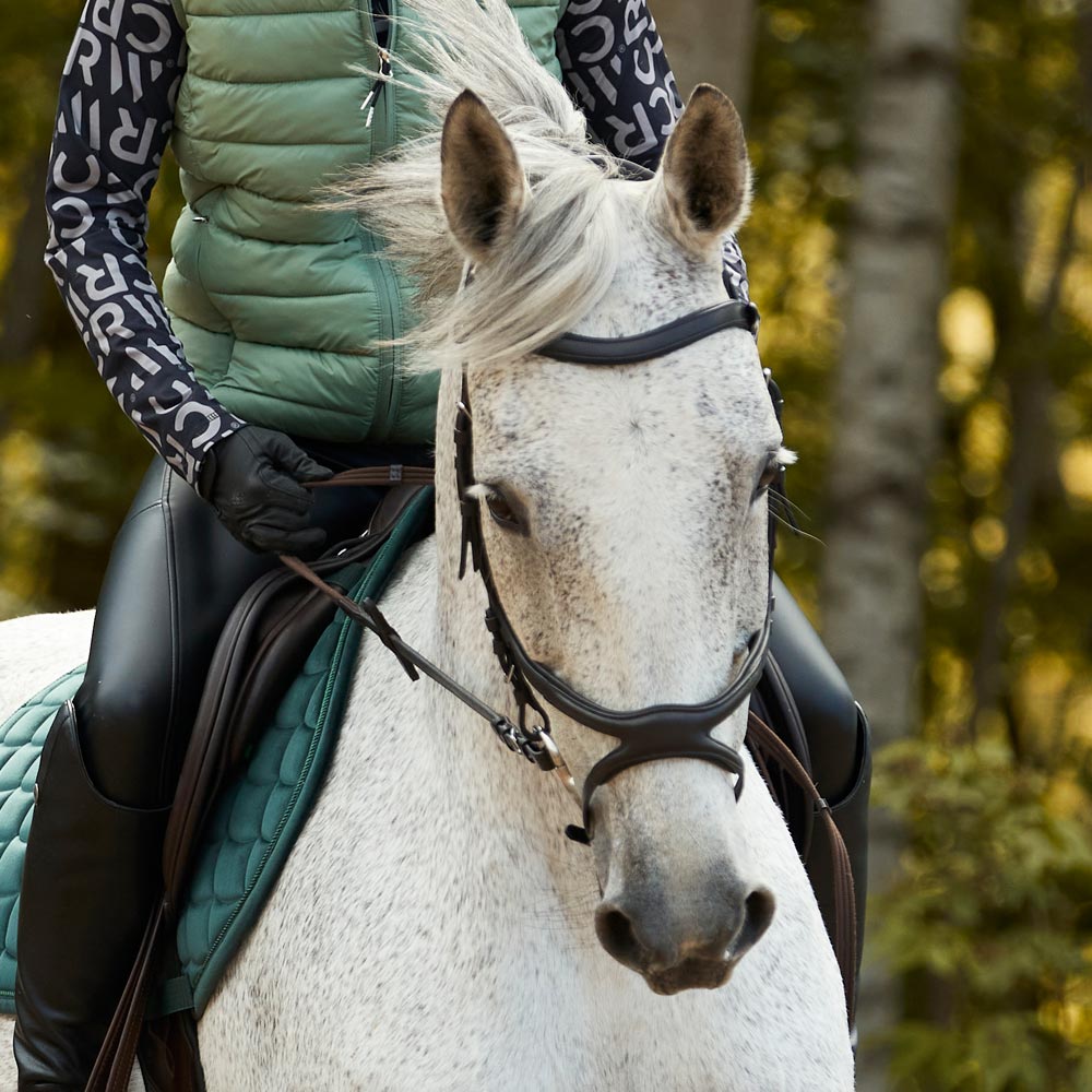 Krysshodelag Necton Fairfield®