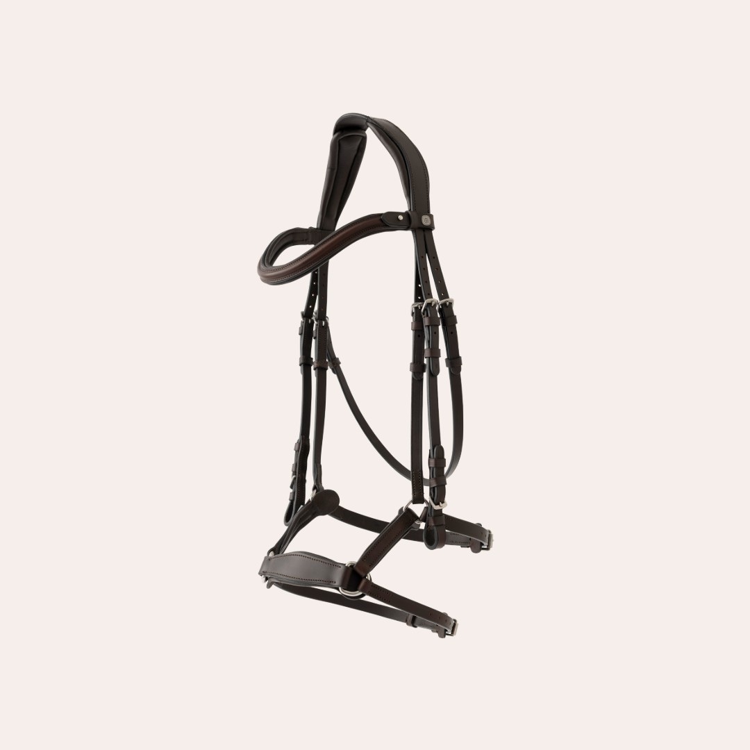 Aachenhodelag Belmont Fairfield®