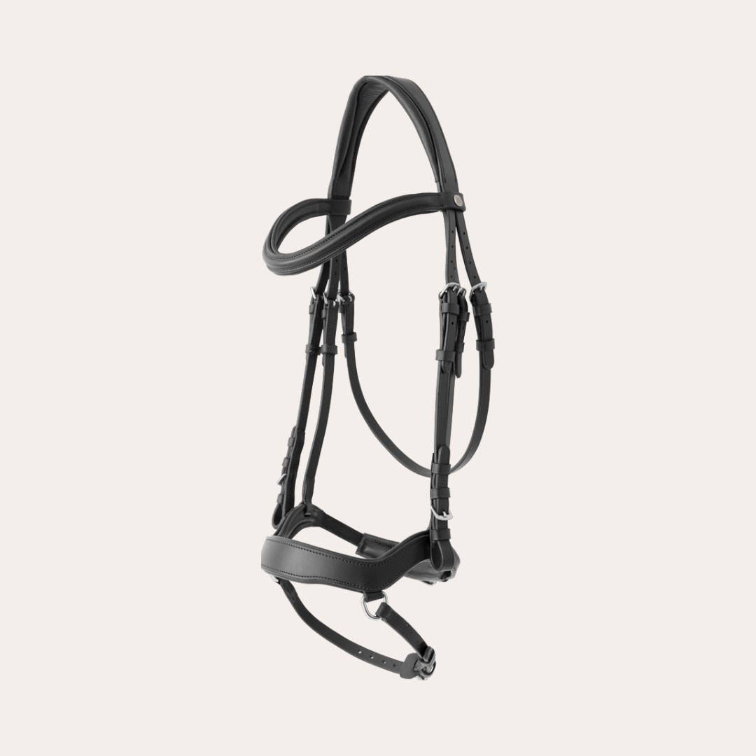 Aachenhodelag Newmarket Fairfield®