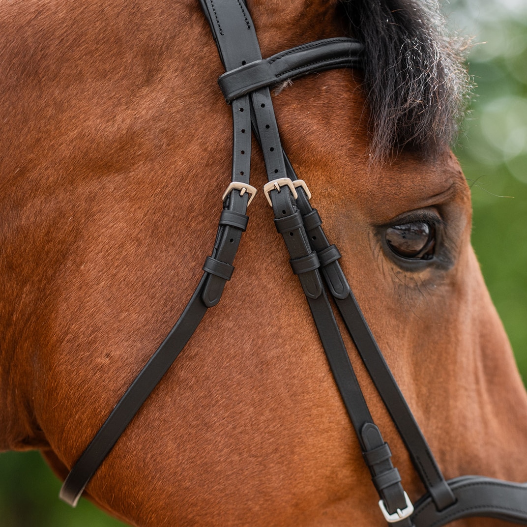 Aachenhodelag Newmarket Fairfield®