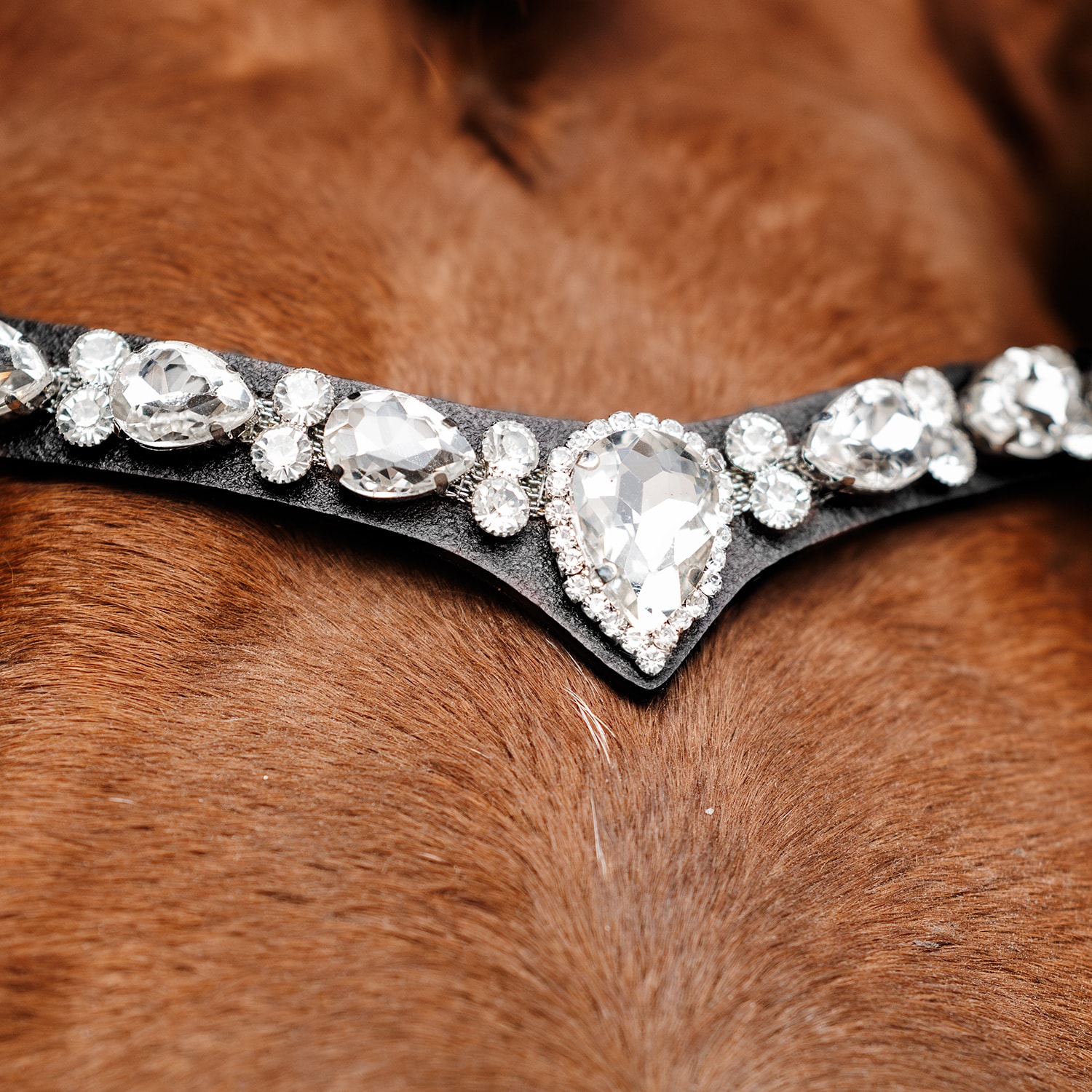 Pannebånd  Celine Fairfield®