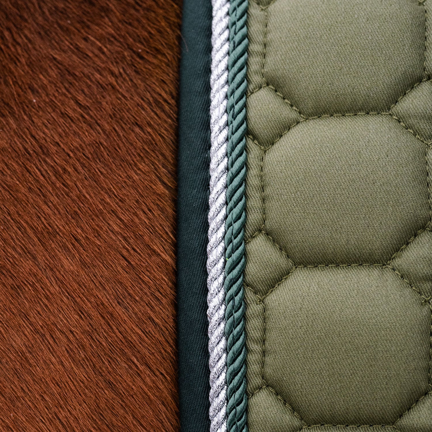 Dressursjabrak Hazeldene Fairfield®