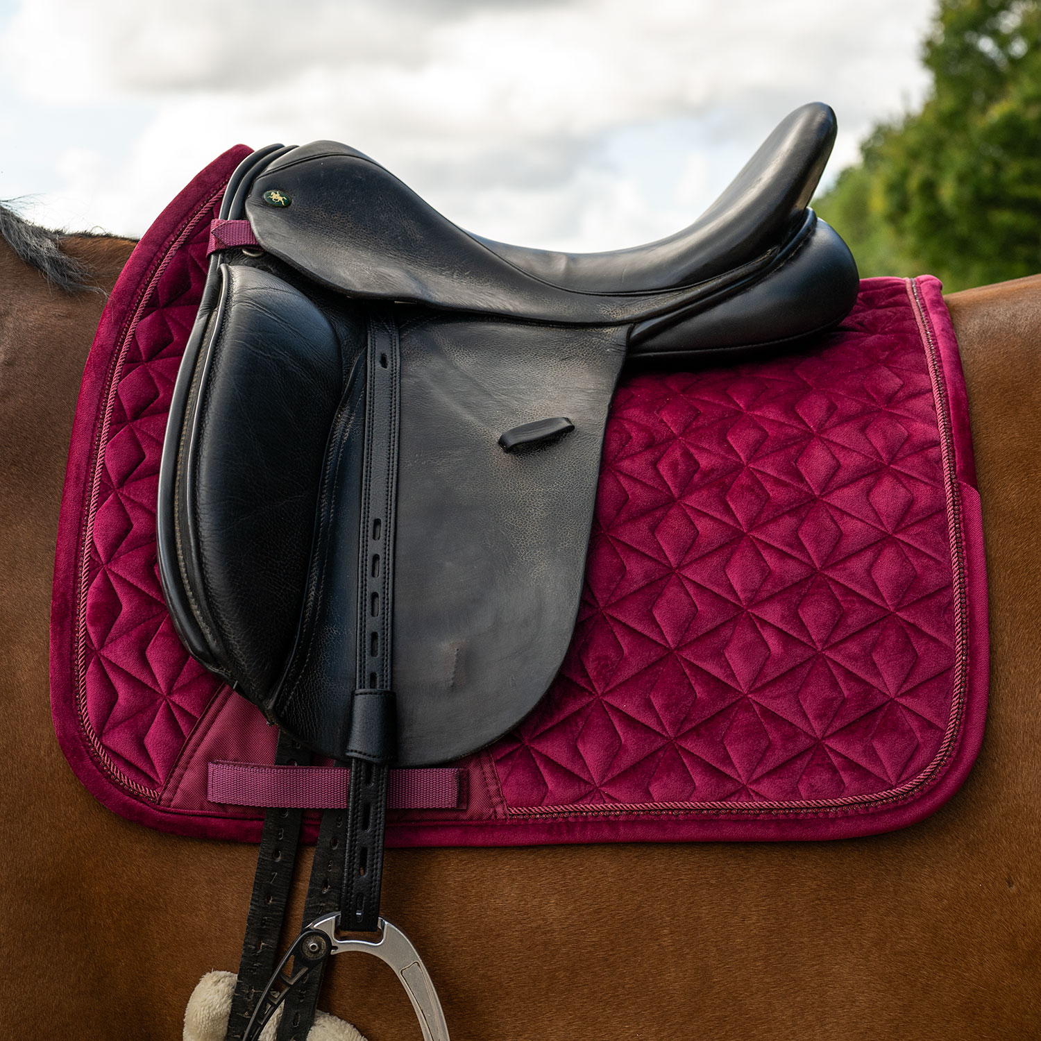 Dressursjabrak Baroque Fairfield®