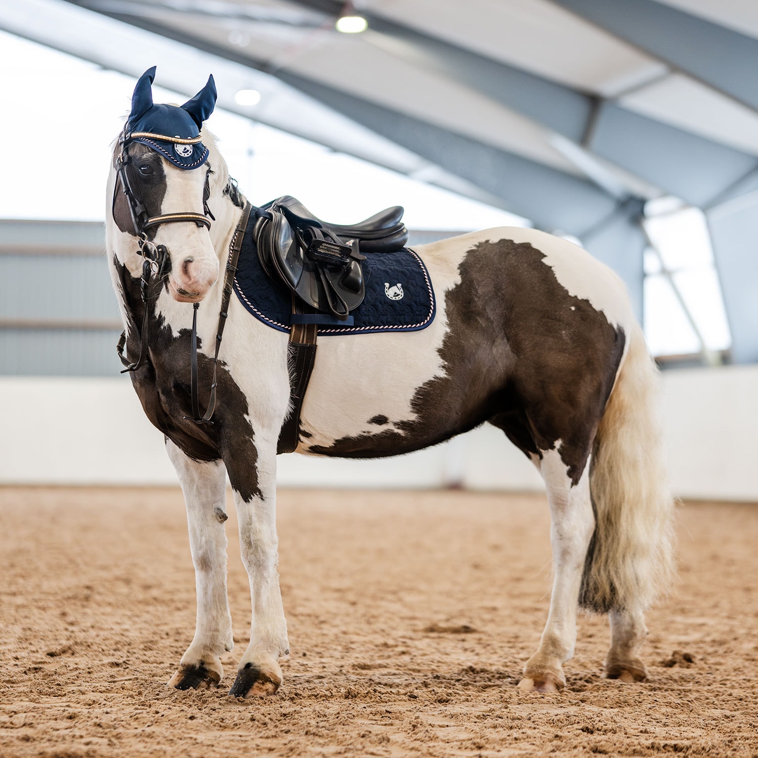 Allroundsjabrak Silas CRW®