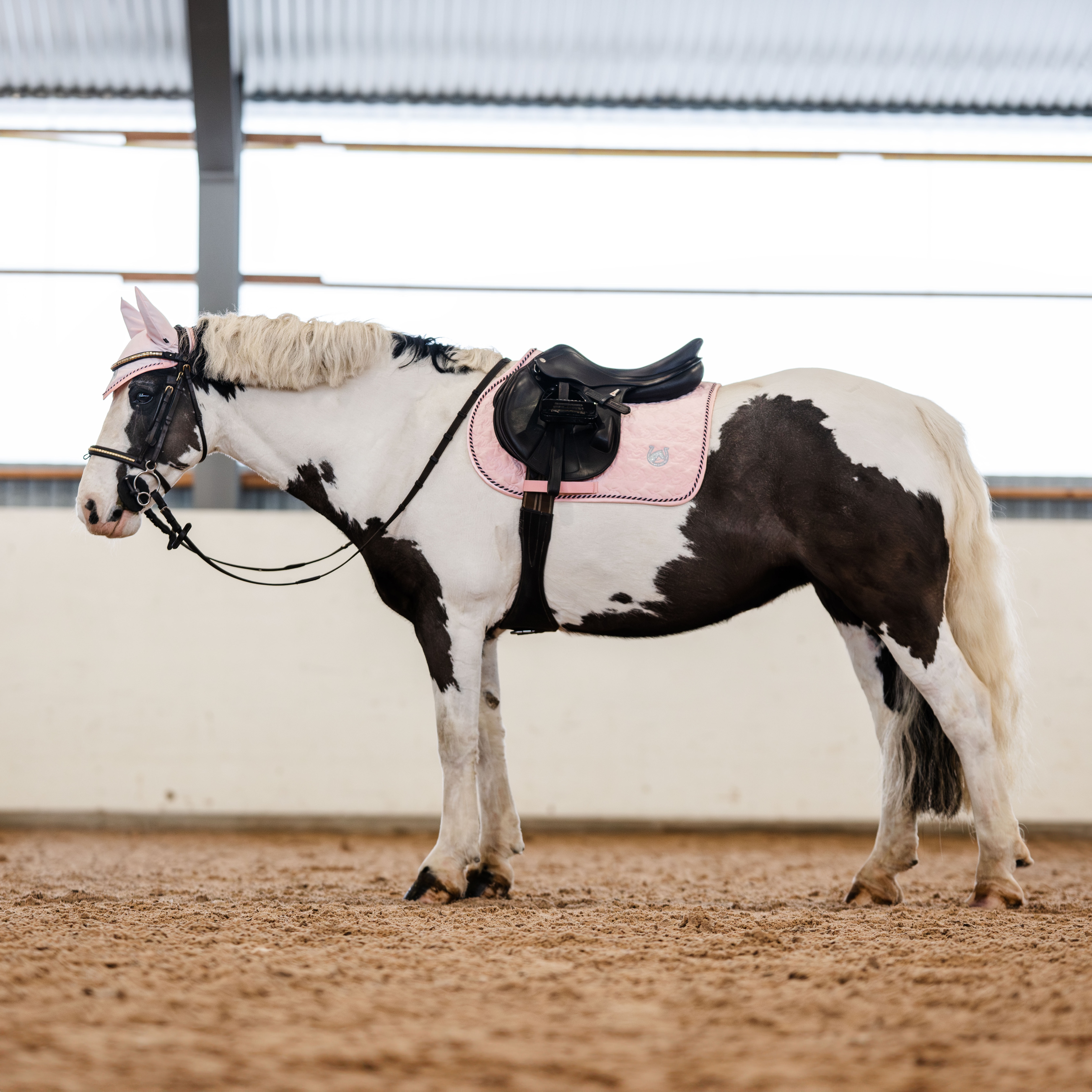 Allroundsjabrak Silas CRW®