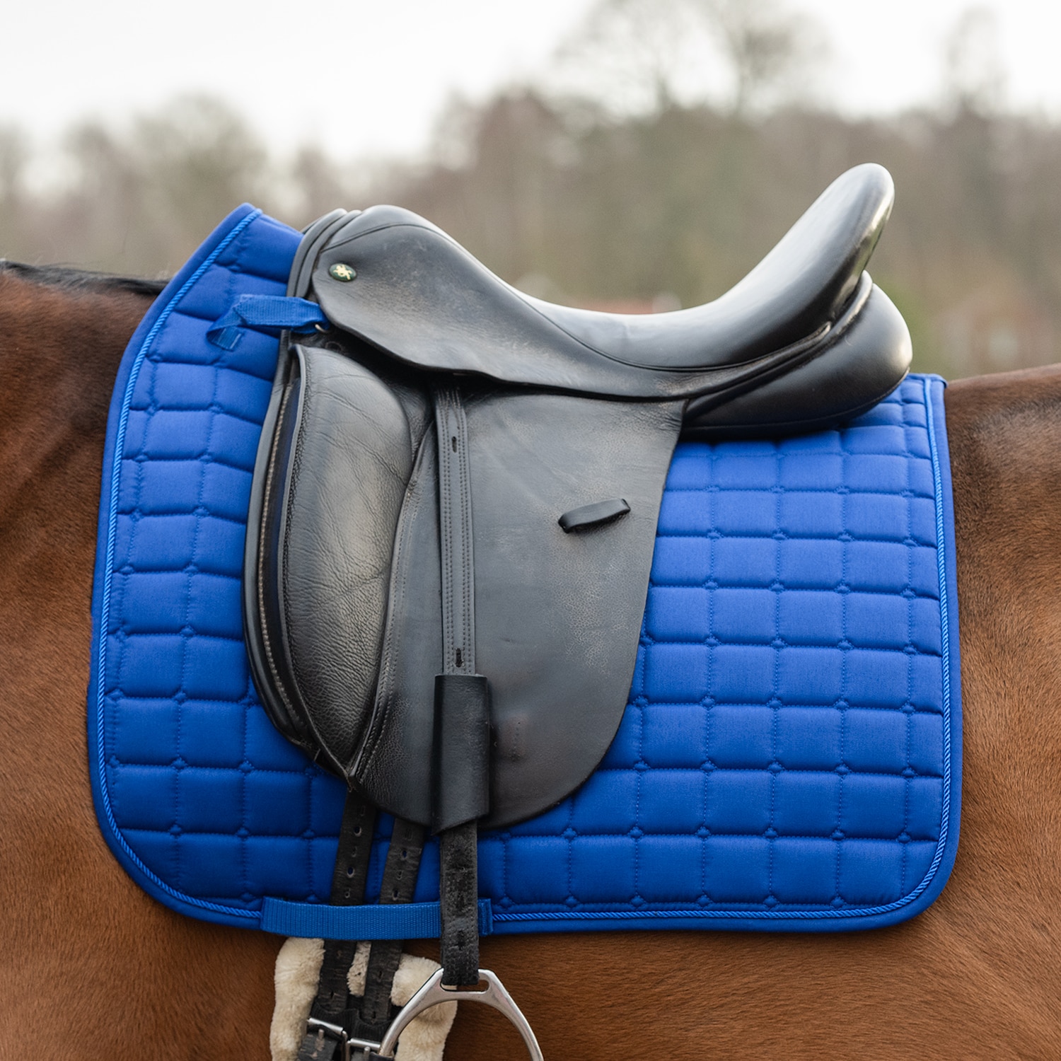 Dressursjabrak Kerry Fairfield®