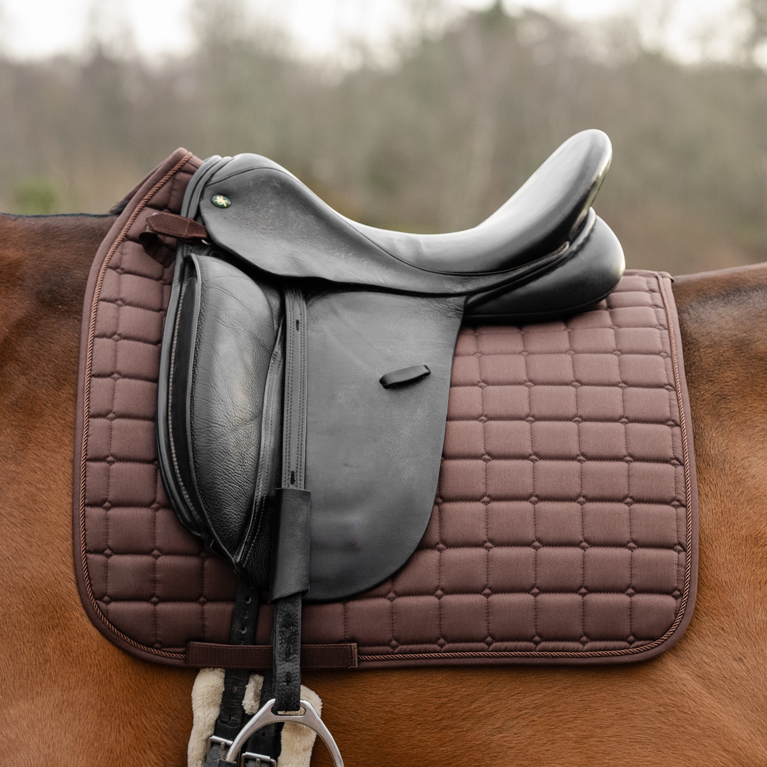 Dressursjabrak Kerry Fairfield®