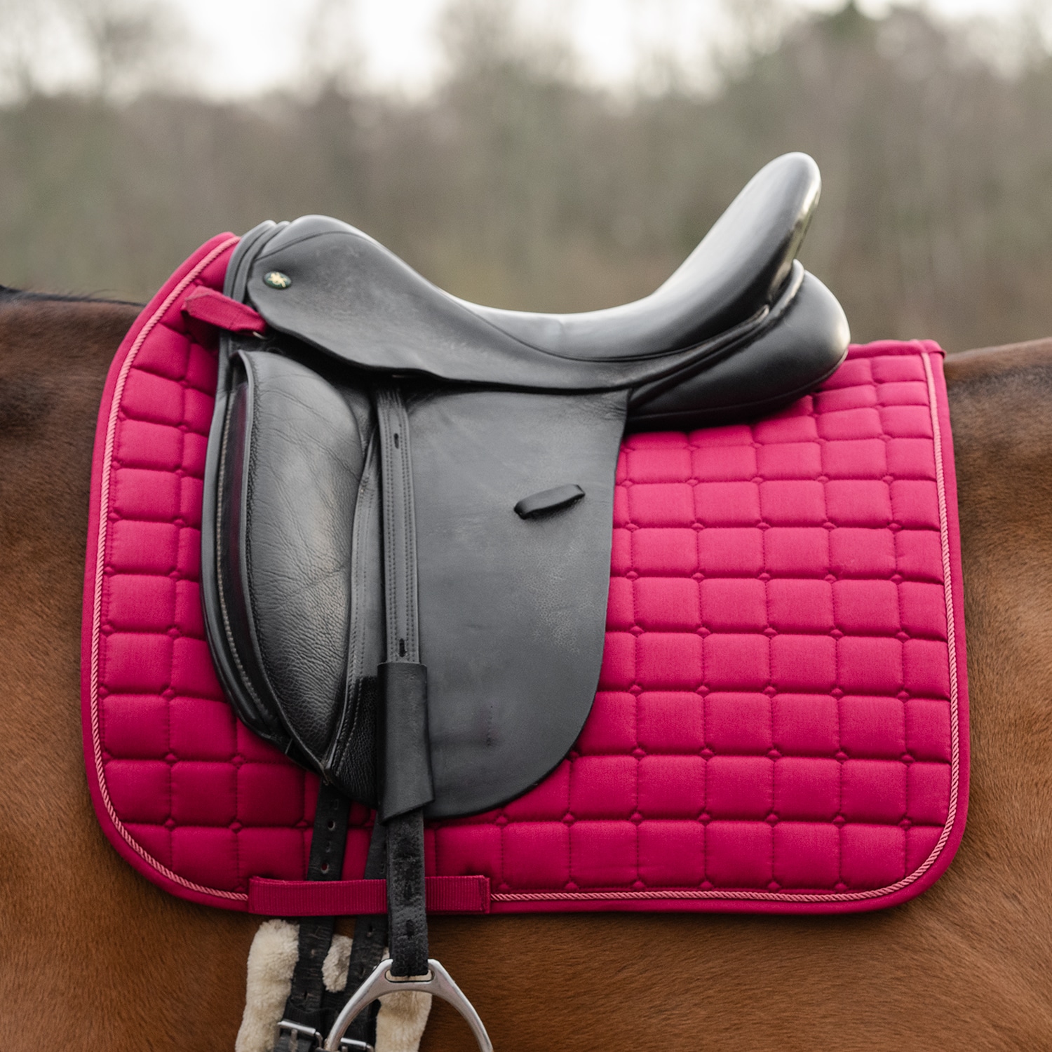 Dressursjabrak Kerry Fairfield®