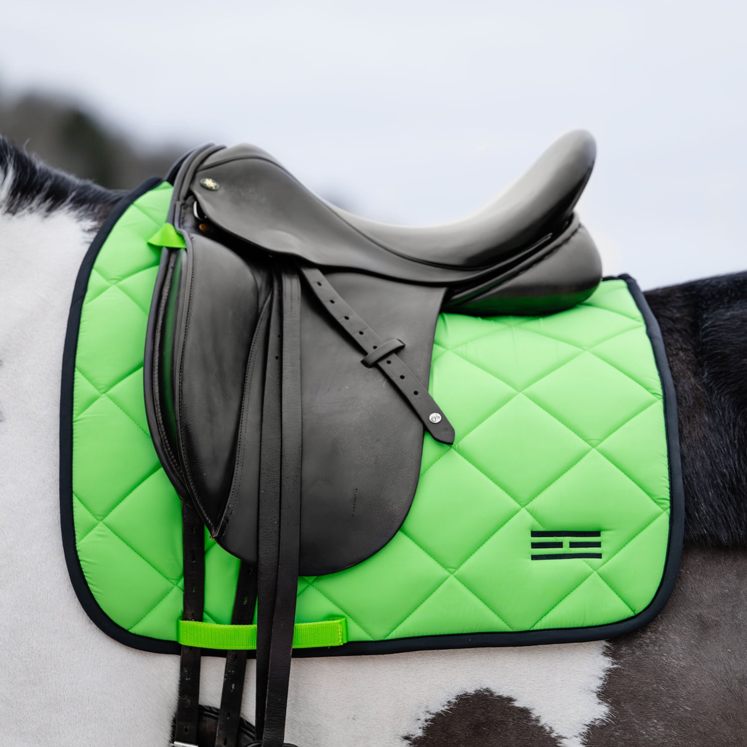 Dressursjabrak Miami Fairfield®