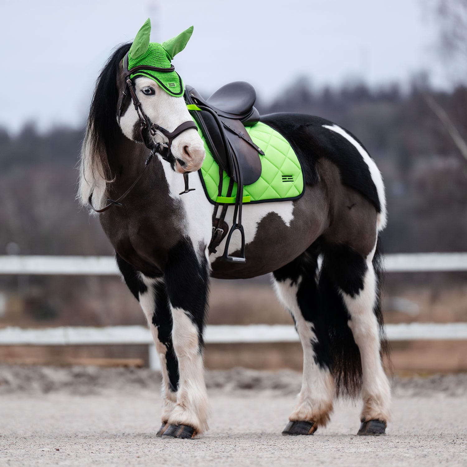 Dressursjabrak Miami Fairfield®