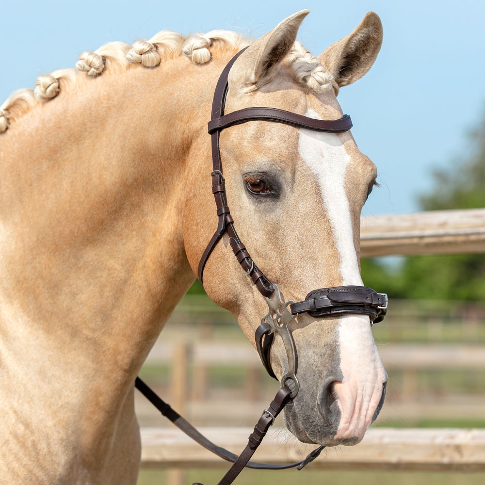 Hodelag  Hackamore Fairfield®