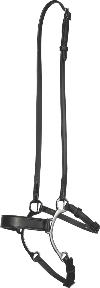 Neserem Island Fairfield®