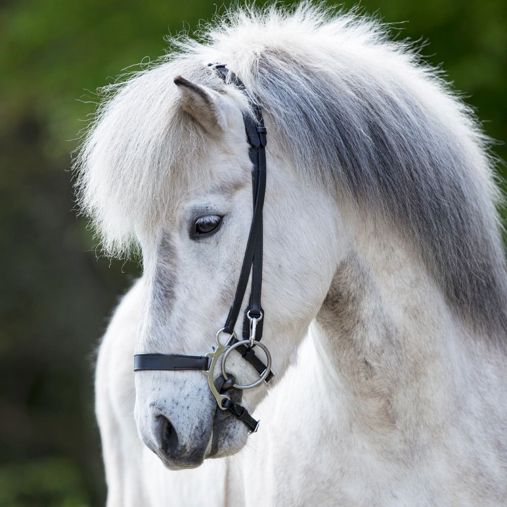 Neserem Island Fairfield®