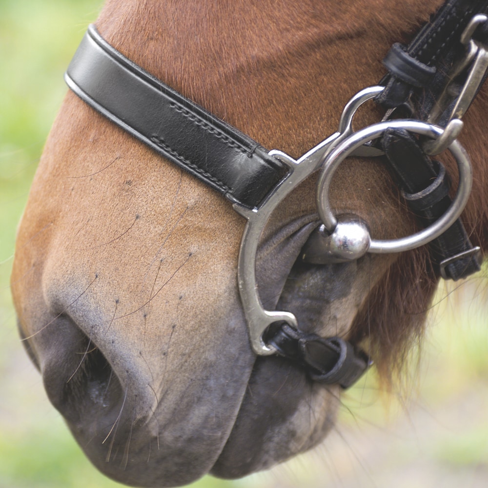 Neserem Island Fairfield®