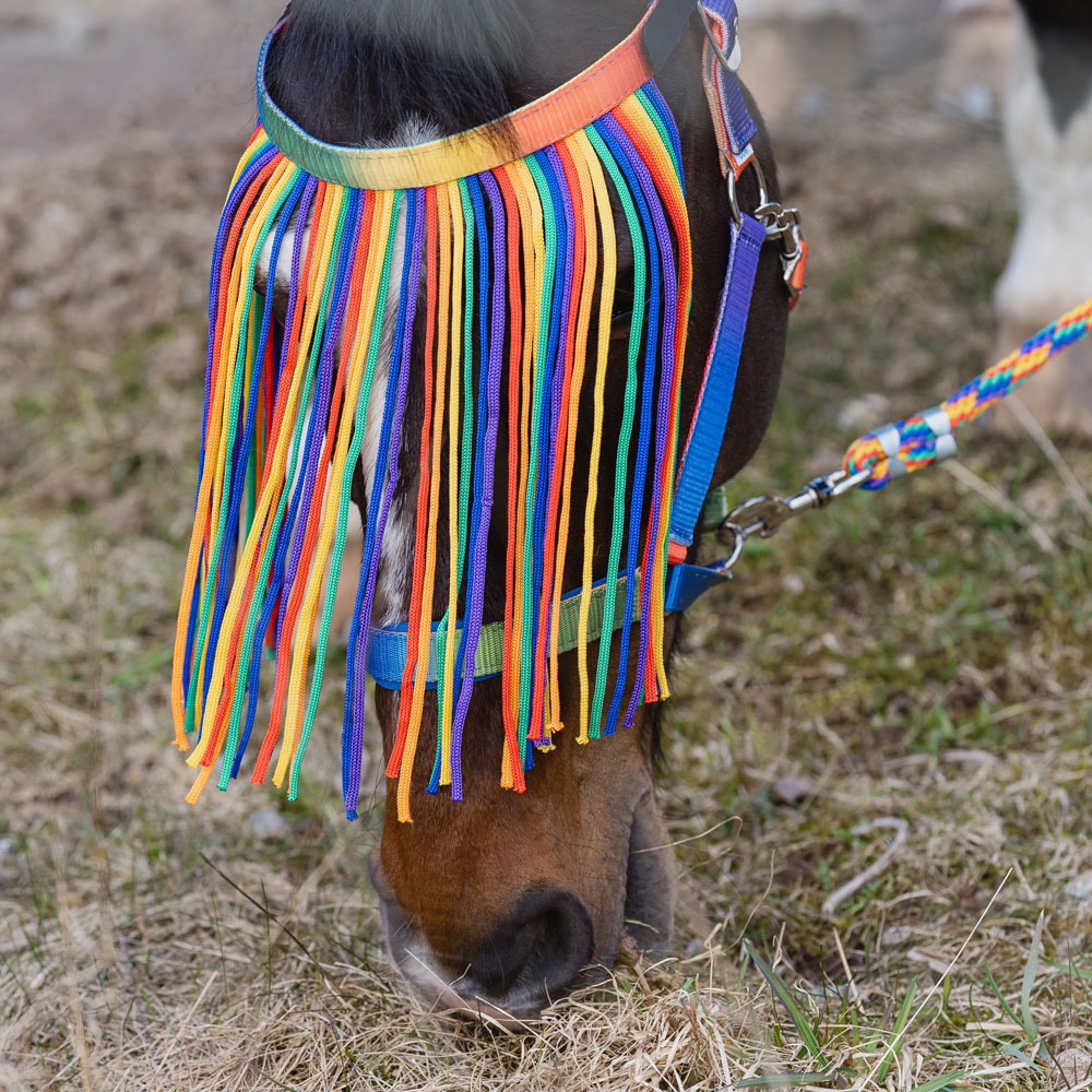 Fluepannebånd  Rainbow Fairfield®