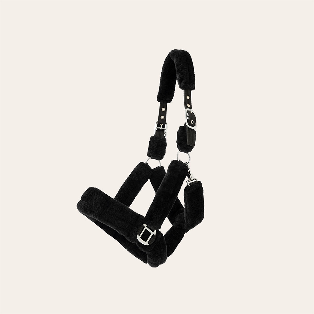 Grime Corrado Fairfield®