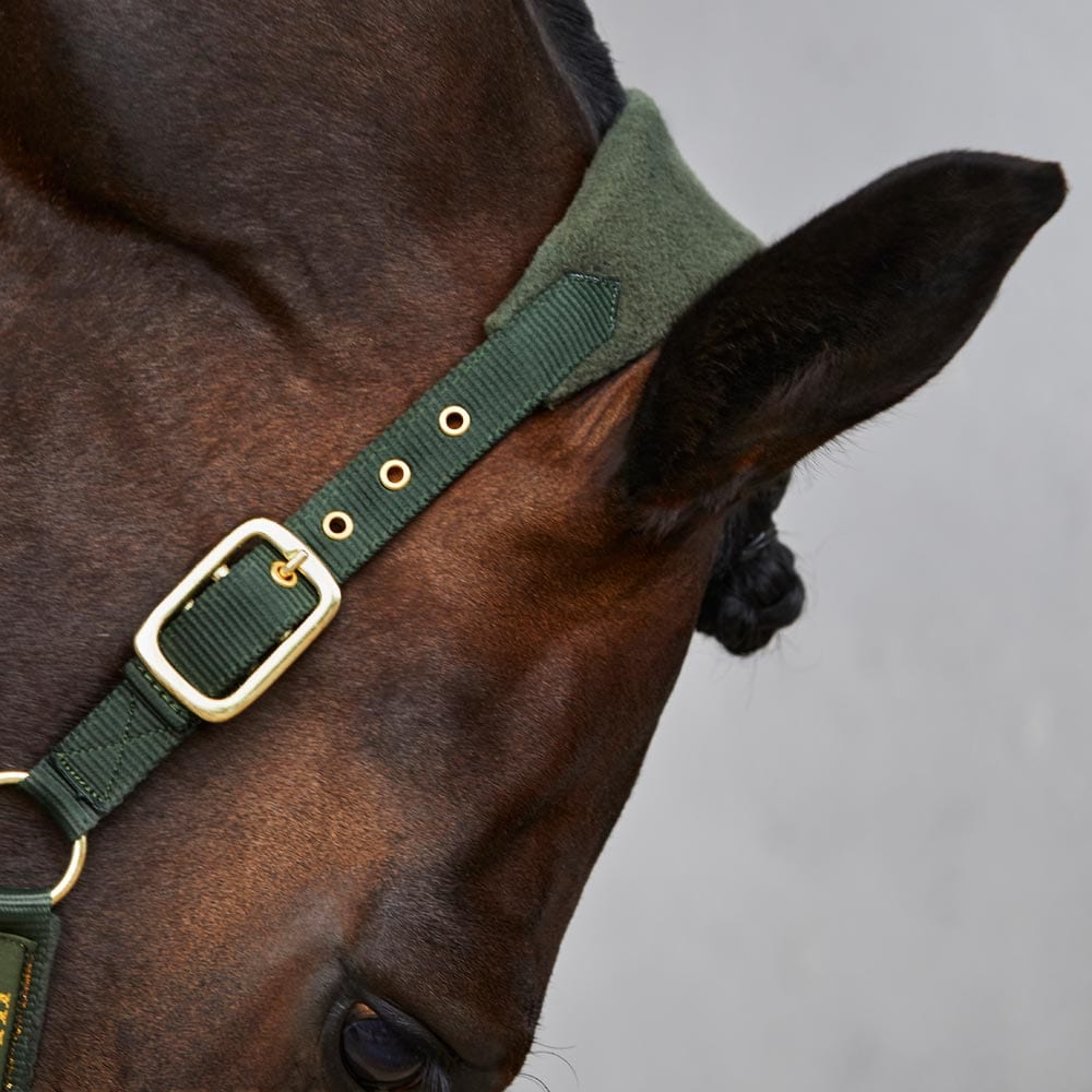 Grime Masone JH Collection®